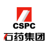 山东凯时尊龙数字科技股份有限公司