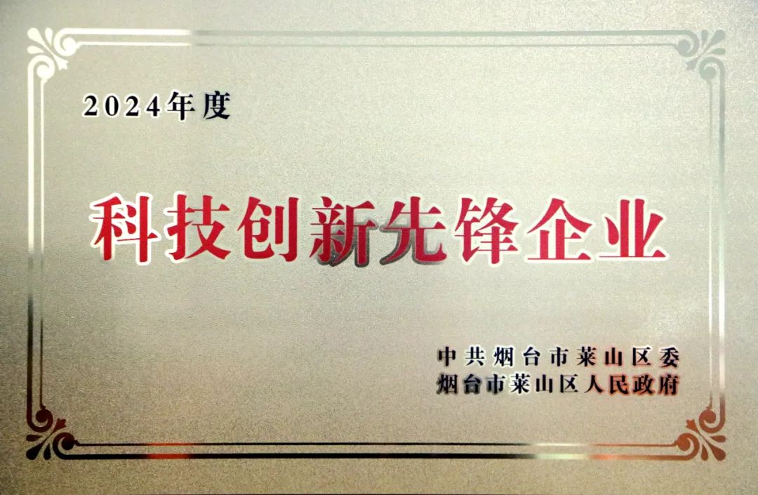 以创新筑未来，，，凯时尊龙数字荣获2024年度科技创新先锋企业